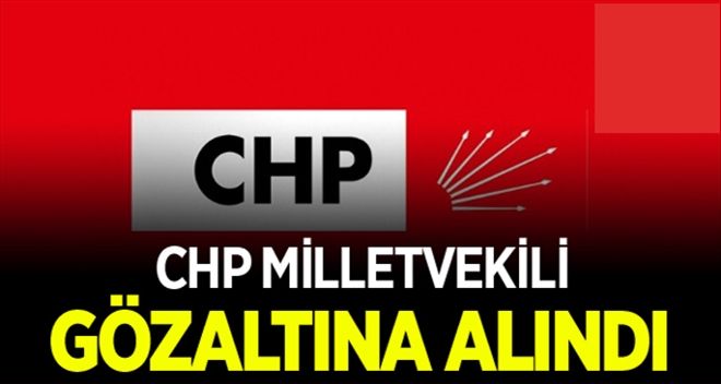 CHP milletvekili gözaltına alındı
