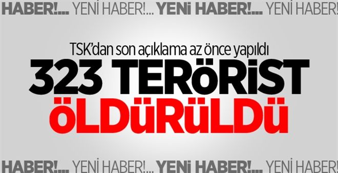 TSK: Hakkari´de 323 terörist öldürüldü