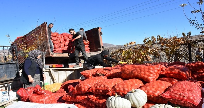 Üreticilerden 25 Ton Soğan Alınarak, 800 İhtiyaç Sahiplerine Dağıtıldı