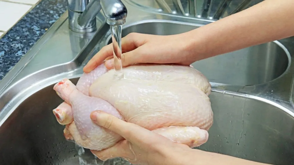 Yeni yıl sofrasına gelecek tavuk ve hindide salmonella riski