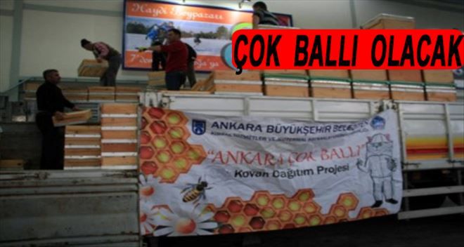 Beypazarı Çok Ballı Olacak