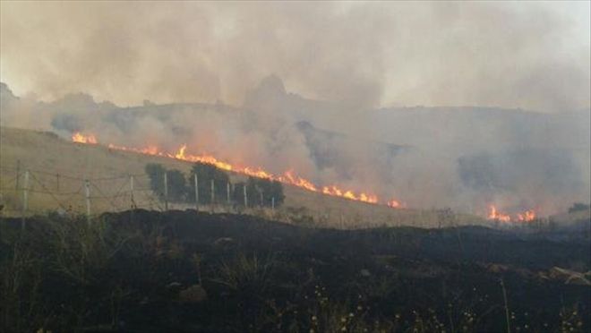 Adilcevaz´da Ormanlık Alanda Yangın Çıktı