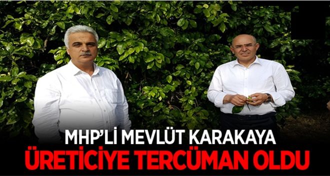 MHP´li Karakaya üreticiye tercüman oldu