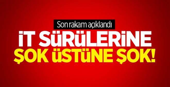 Çukurca´da öldürülen terörist sayısı 204 oldu