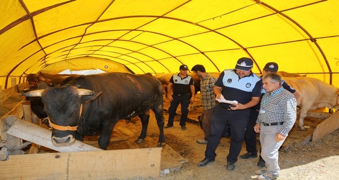 ETİMESGUT KURBAN BAYRAMINA HAZIR