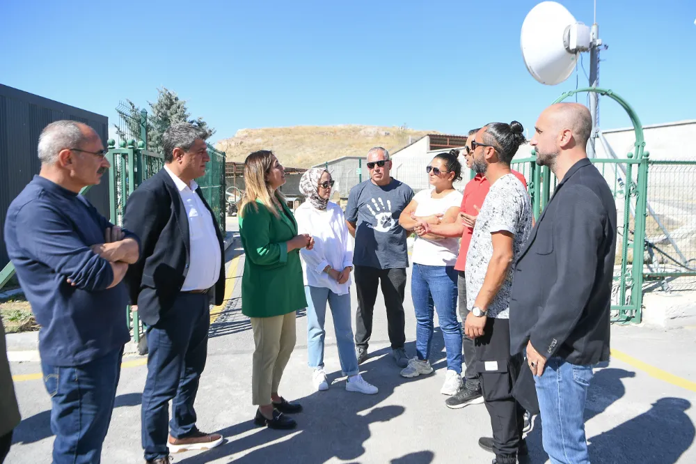 Hayvanseverler ve sivil toplum  kuruluşları barınaktaydı