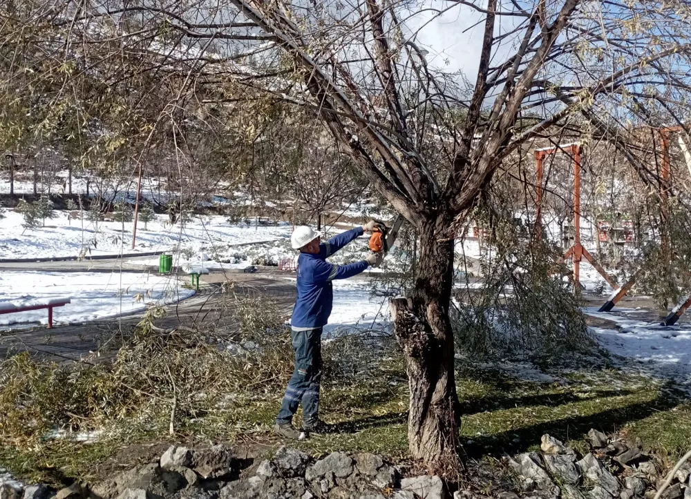 Mamak’ta Ağaçlara Kış Bakımı