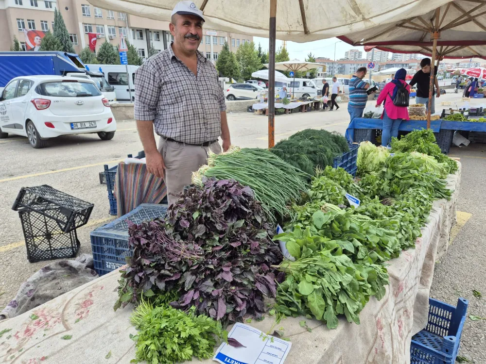 ORGANİK SEBZE VE MEYVELER TEZGÂHTA YERİNİ ALDI