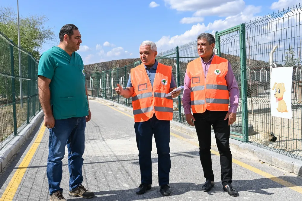 Başkan Şahin Sokak Hayvanları İçin  Yardım Kampanyası Başlatıyor