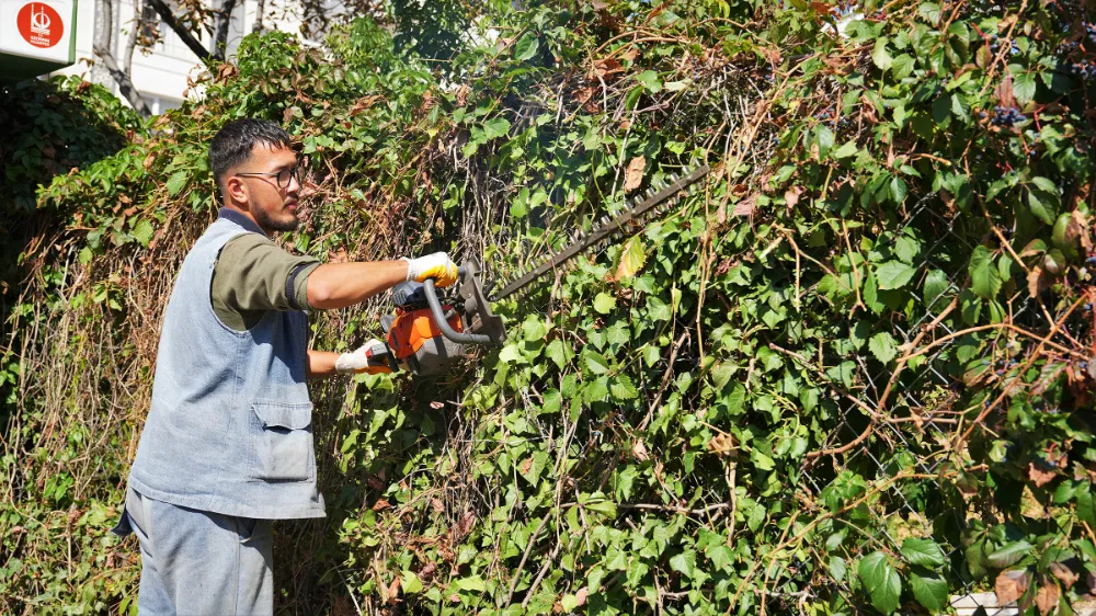 KEÇİÖREN’DE MEVSİMLİK BUDAMA ÇALIŞMASI 