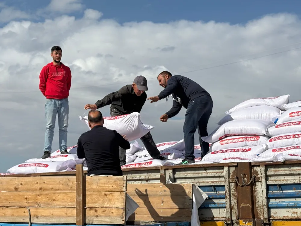 SİNCAN BELEDİYESİ’NDEN ÜRETİCİLERE BUĞDAY TOHUMU DESTEĞİ