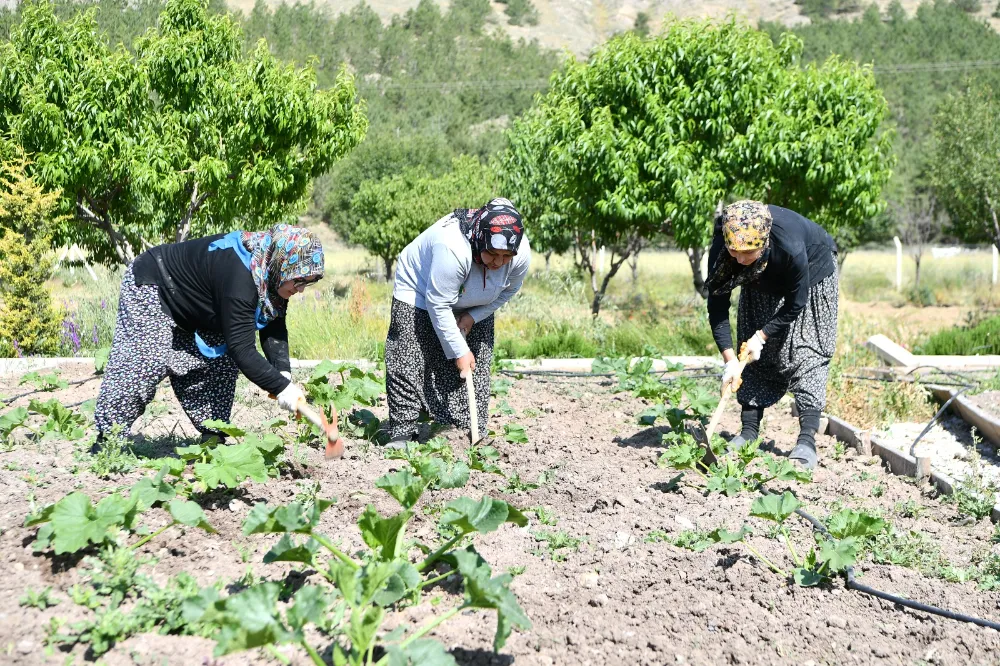 Kırsalda Üretim, Sofralarda Paylaşım